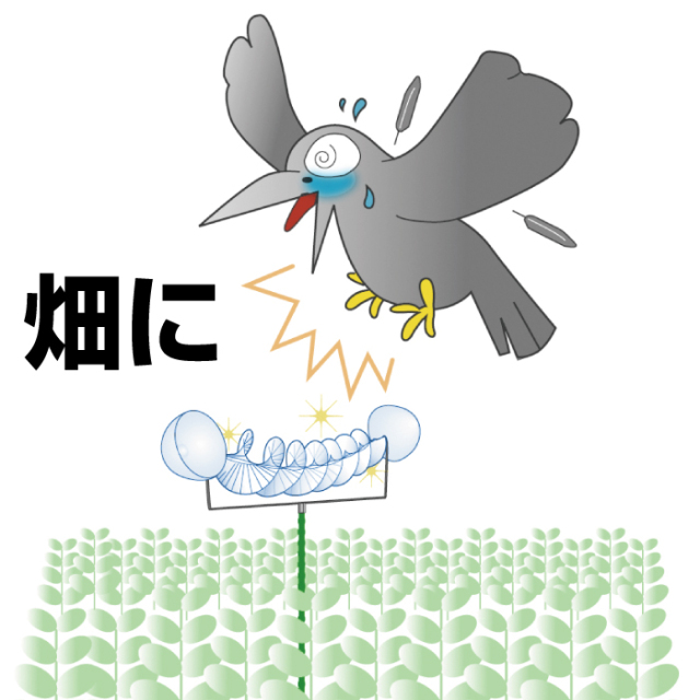 カラスなぜ逃げる？