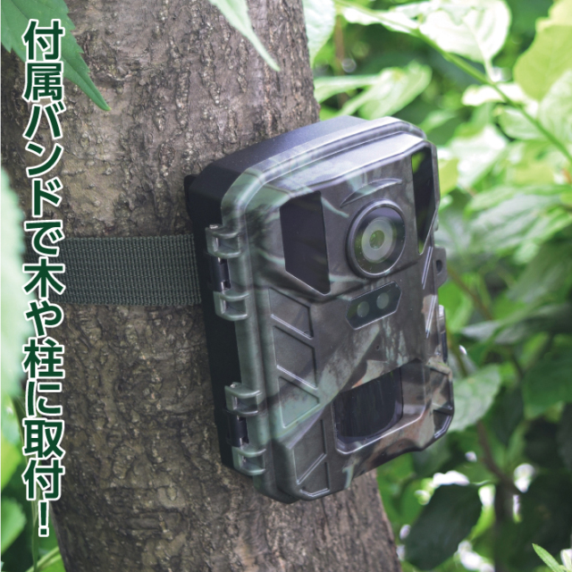 赤外線無人撮影4KカメラミニSTR-MiNi800│身近な優れものショップ