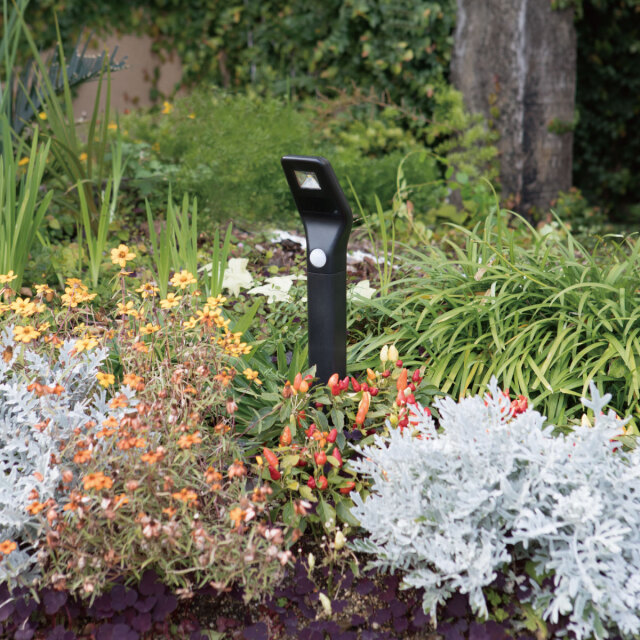 アプローチライト