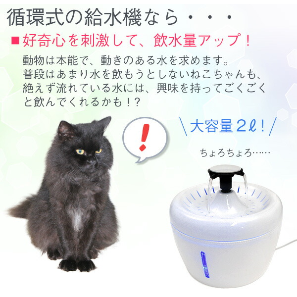 ねこ用循環式自動給水器（箱潰れアウトレット品）