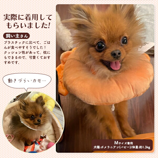 クッション型 アニマル&フードデザインカラー