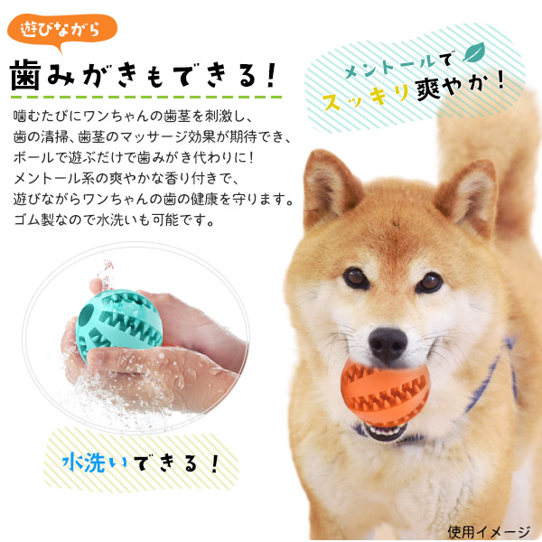 ゴムボール 大サイズ