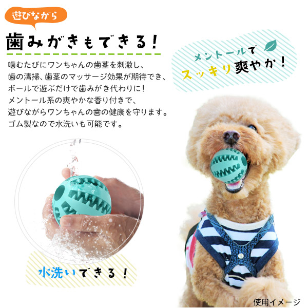 ゴムボール 小サイズ