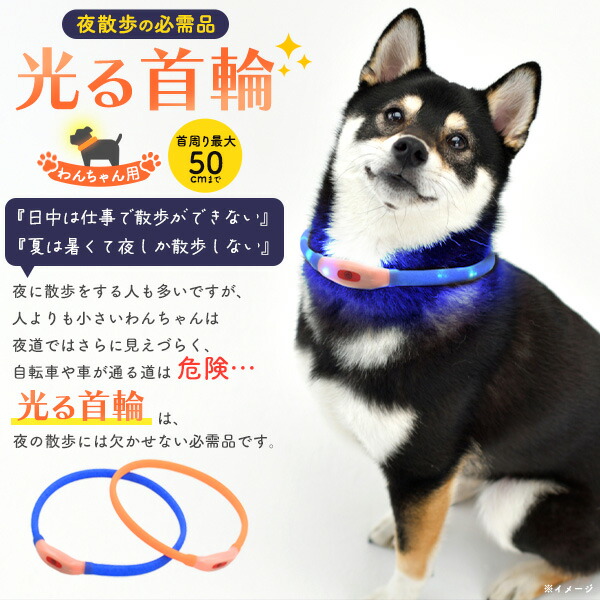 犬用 光る首輪 50cm