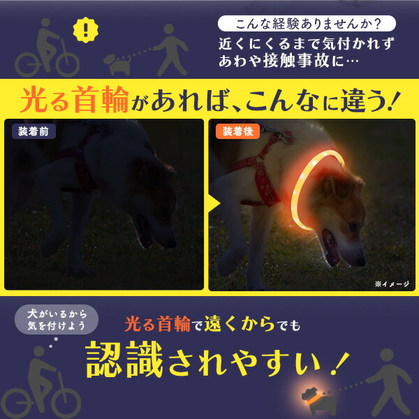 犬用 光る首輪 50cm