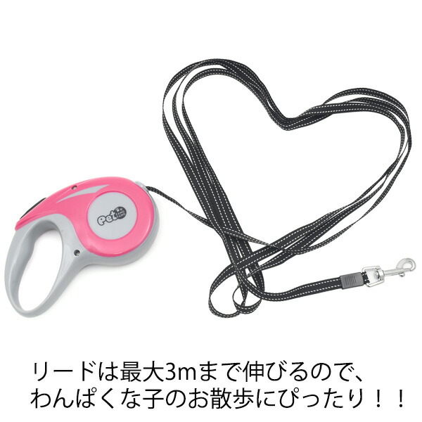 伸縮式リード
