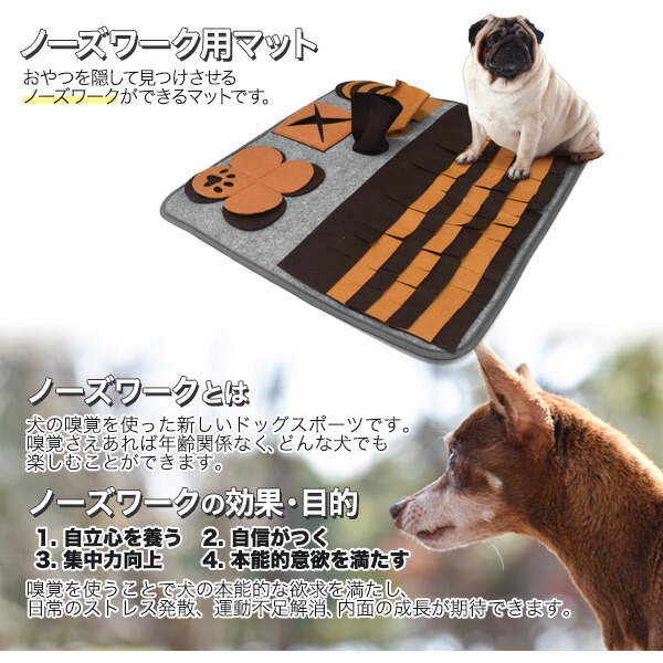 ノーズワークマット ハードタイプ