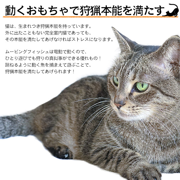 猫用電動おもちゃ・ムービングフィッシュ