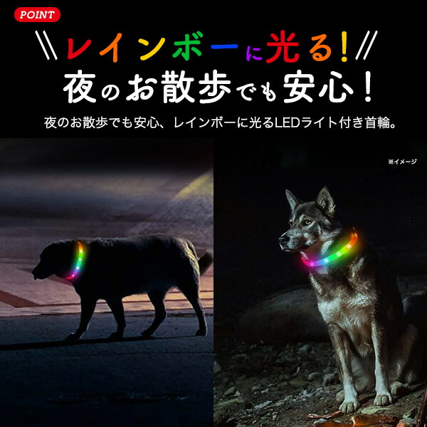 光るレインボー首輪