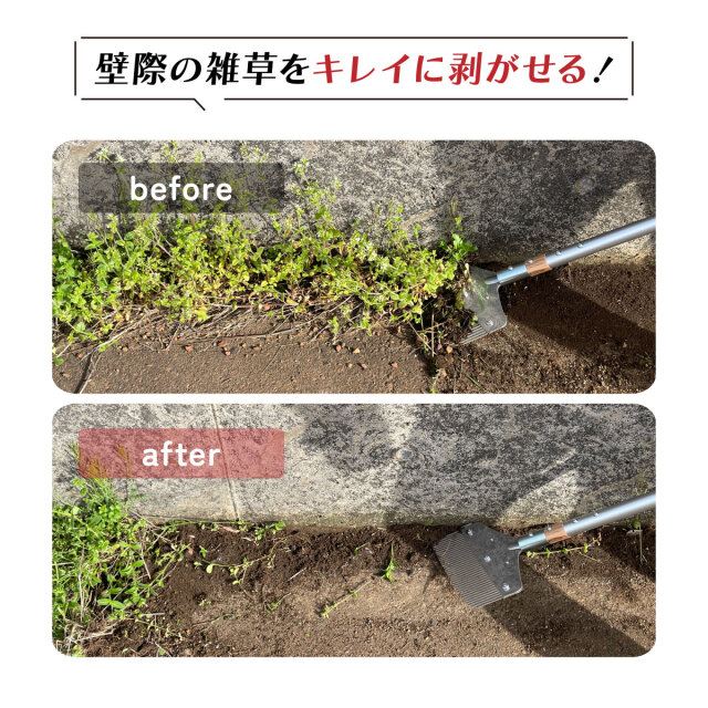 雑草 ホンダ スーパーDio ZX 7馬力 2スト フルパワー