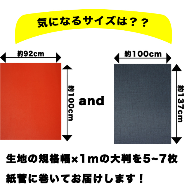 サイズ