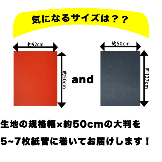 サイズ