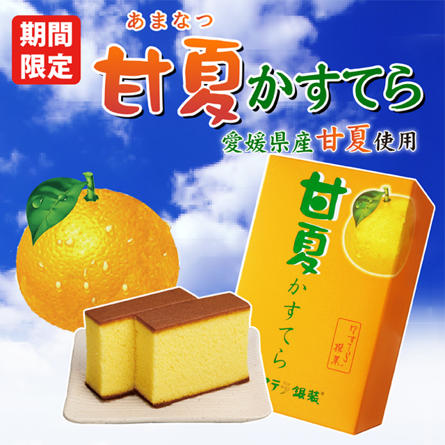 https://image1.shopserve.jp/ginso-shop.com/pic-labo/llimg/202106_amanatu_03.jpg?t=20260812222519