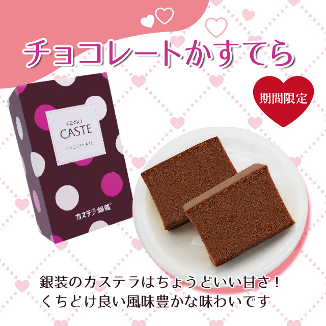 銀装 撰菓 チョコレートかすてら