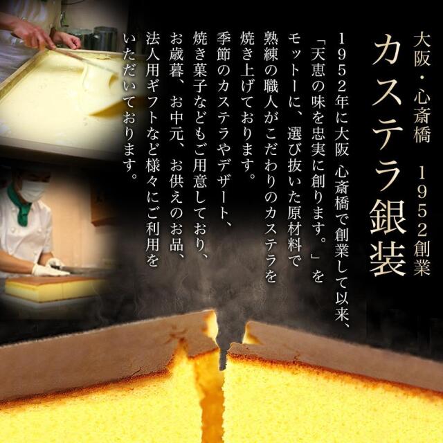 銀装 撰菓 甘夏かすてら ハーフ