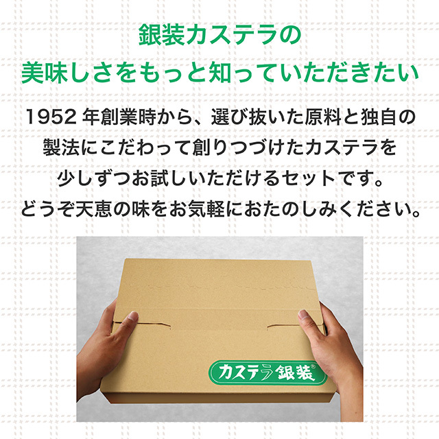 【オンライン限定・送料無料】カステラお試しセット(個装6個入り)(ポストにお届け)