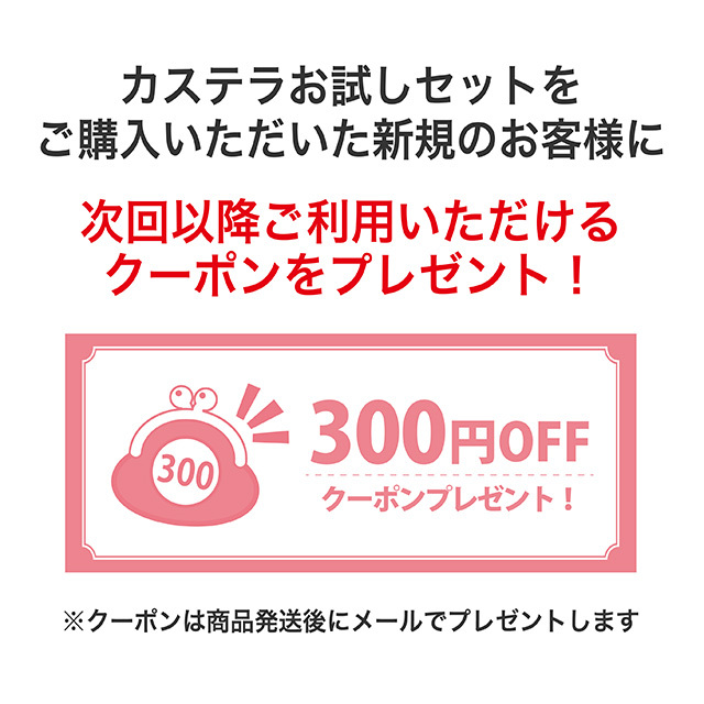 【オンライン限定・送料無料】カステラお試しセット(個装6個入り)(ポストにお届け)