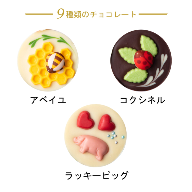 23ショコクル9入