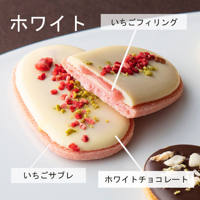 23ショコララング　ホワイト