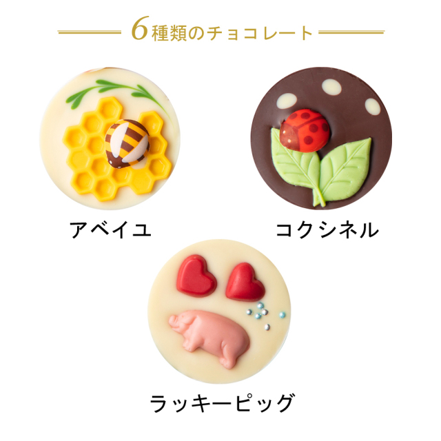 24ショコクル内容説明6入