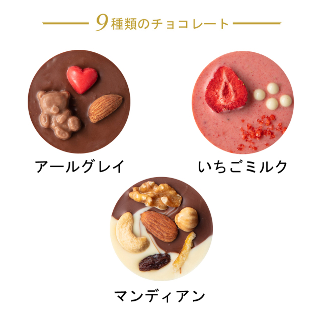 24ショコクル内容説明9入-1