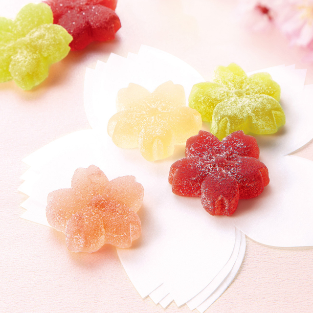 24恵みのしずくさくら