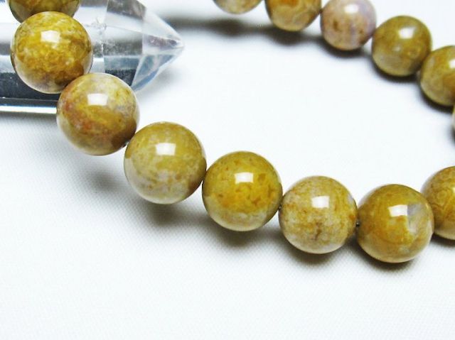 パワーストーン 天然石 オーシャンジャスパー ブレスレット 12mm [T153