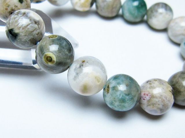 オーシャンジャスパー ブレスレット 12mm [t153-3586]