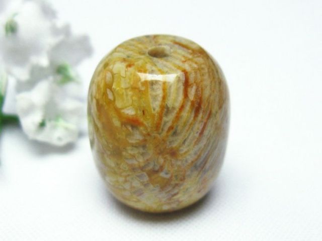 パワーストーン  フォッシルコーラル 円柱形 ビーズ 化石珊瑚[T155-2024]1枚目