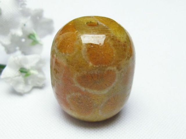 パワーストーン  フォッシルコーラル 円柱形 ビーズ 化石珊瑚[T155-2083]1枚目