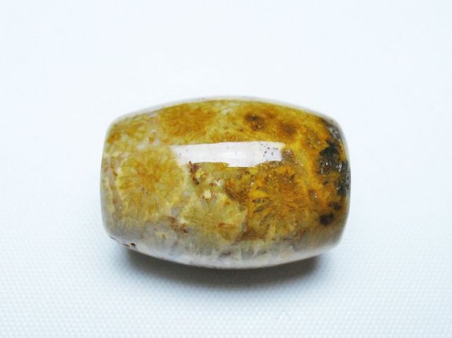 フォッシルコーラル 天珠 化石珊瑚[T155-2276]