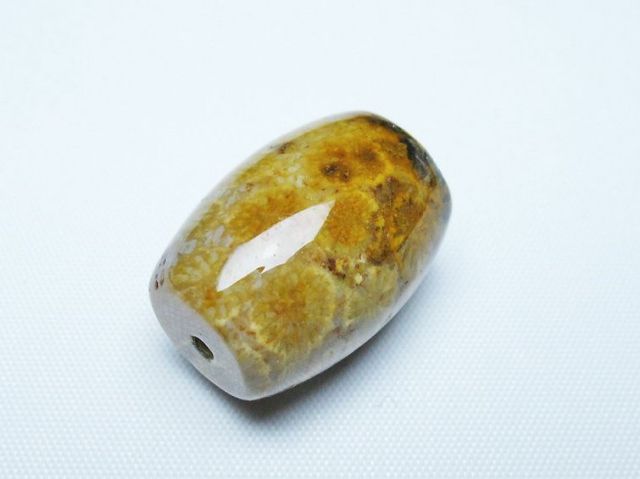 フォッシルコーラル 天珠 化石珊瑚[T155-2276]