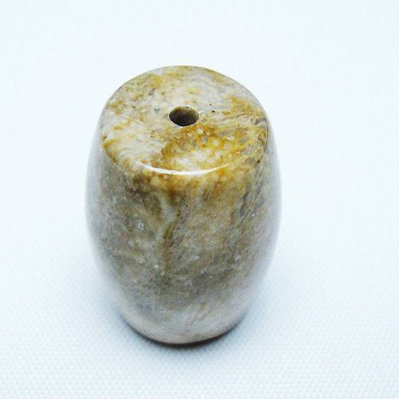 パワーストーン 天然石 フォッシルコーラル 天珠 化石珊瑚[T155-2302]