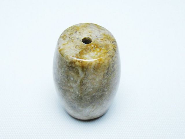 フォッシルコーラル 天珠 化石珊瑚[T155-2302]