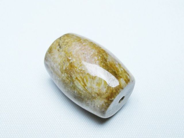 フォッシルコーラル 天珠 化石珊瑚[T155-2302]