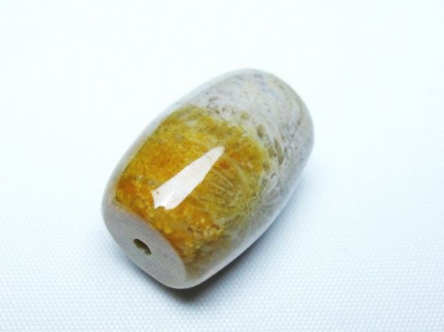 フォッシルコーラル 天珠 化石珊瑚[T155-2306]