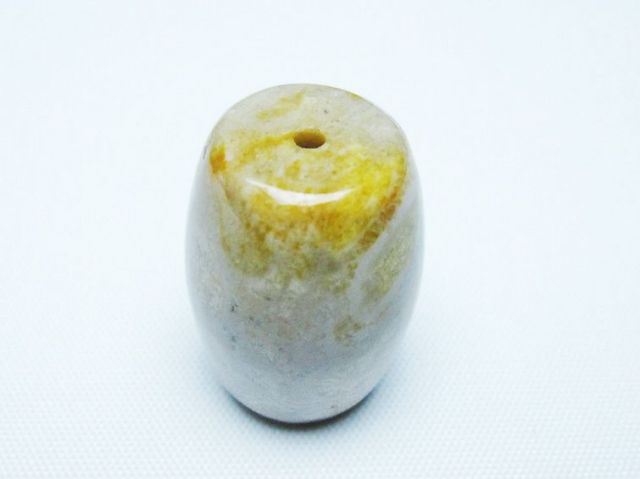 フォッシルコーラル 天珠 化石珊瑚[T155-2308]