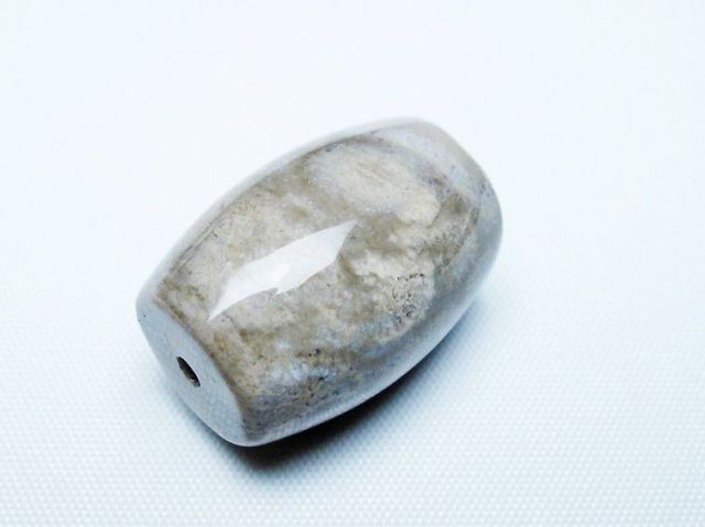 フォッシルコーラル 天珠 化石珊瑚[T155-2326]