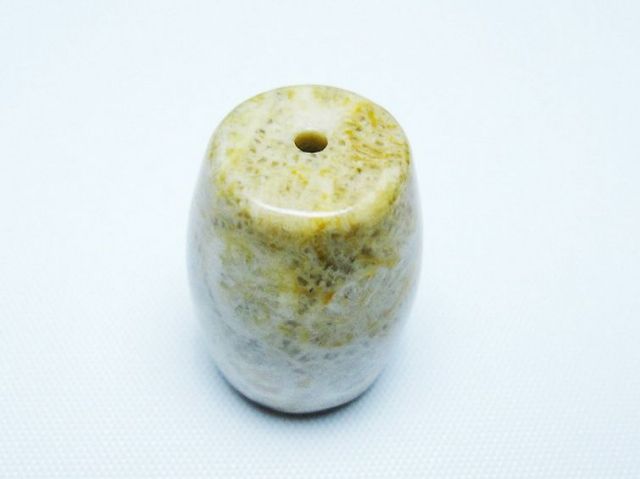 フォッシルコーラル 天珠 化石珊瑚[T155-2329]