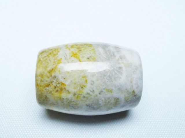 フォッシルコーラル 天珠 化石珊瑚[T155-2329]