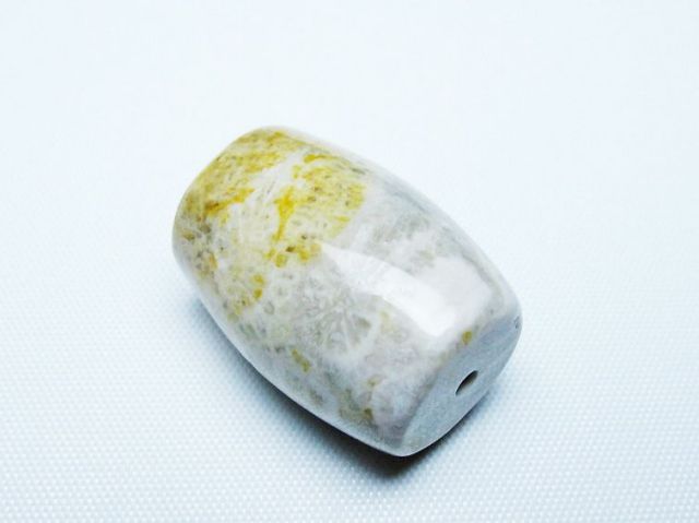 フォッシルコーラル 天珠 化石珊瑚[T155-2329]