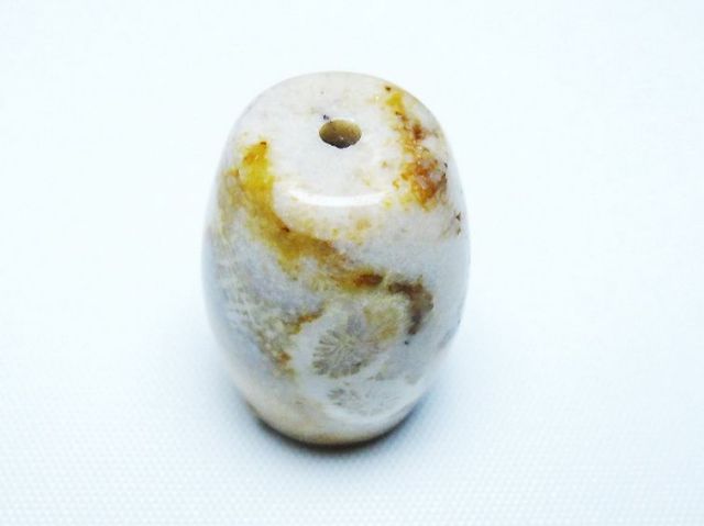 フォッシルコーラル 天珠 化石珊瑚[T155-2335]