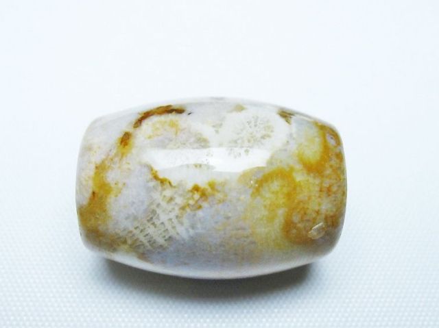 フォッシルコーラル 天珠 化石珊瑚[T155-2335]