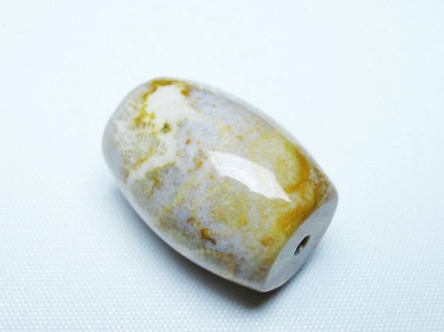 フォッシルコーラル 天珠 化石珊瑚[T155-2335]