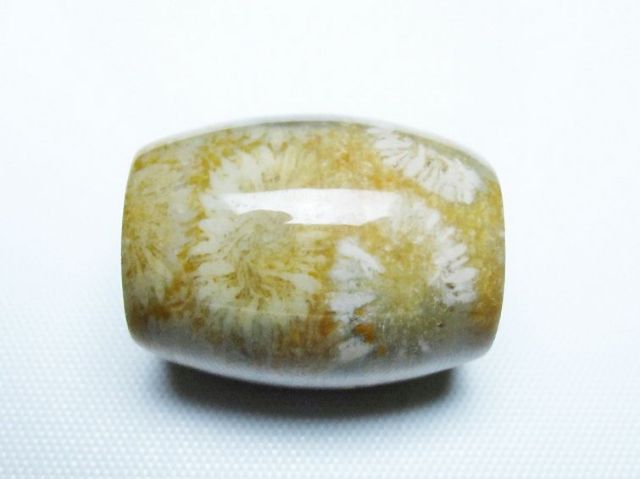 フォッシルコーラル 天珠 化石珊瑚[T155-2341]