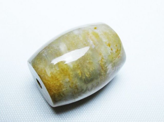 フォッシルコーラル 天珠 化石珊瑚[T155-2341]