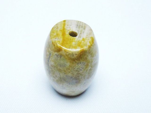 フォッシルコーラル 天珠 化石珊瑚[T155-2389]