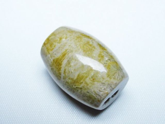 フォッシルコーラル 天珠 化石珊瑚[T155-2389]