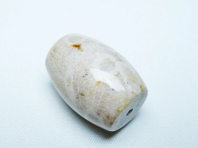 フォッシルコーラル 天珠 化石珊瑚[T155-2403]