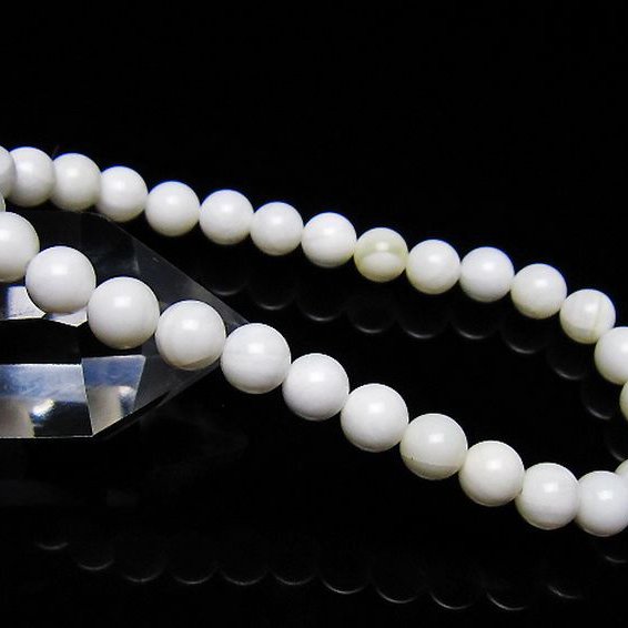 シャコガイブレスレット 6mm [t217-1545]